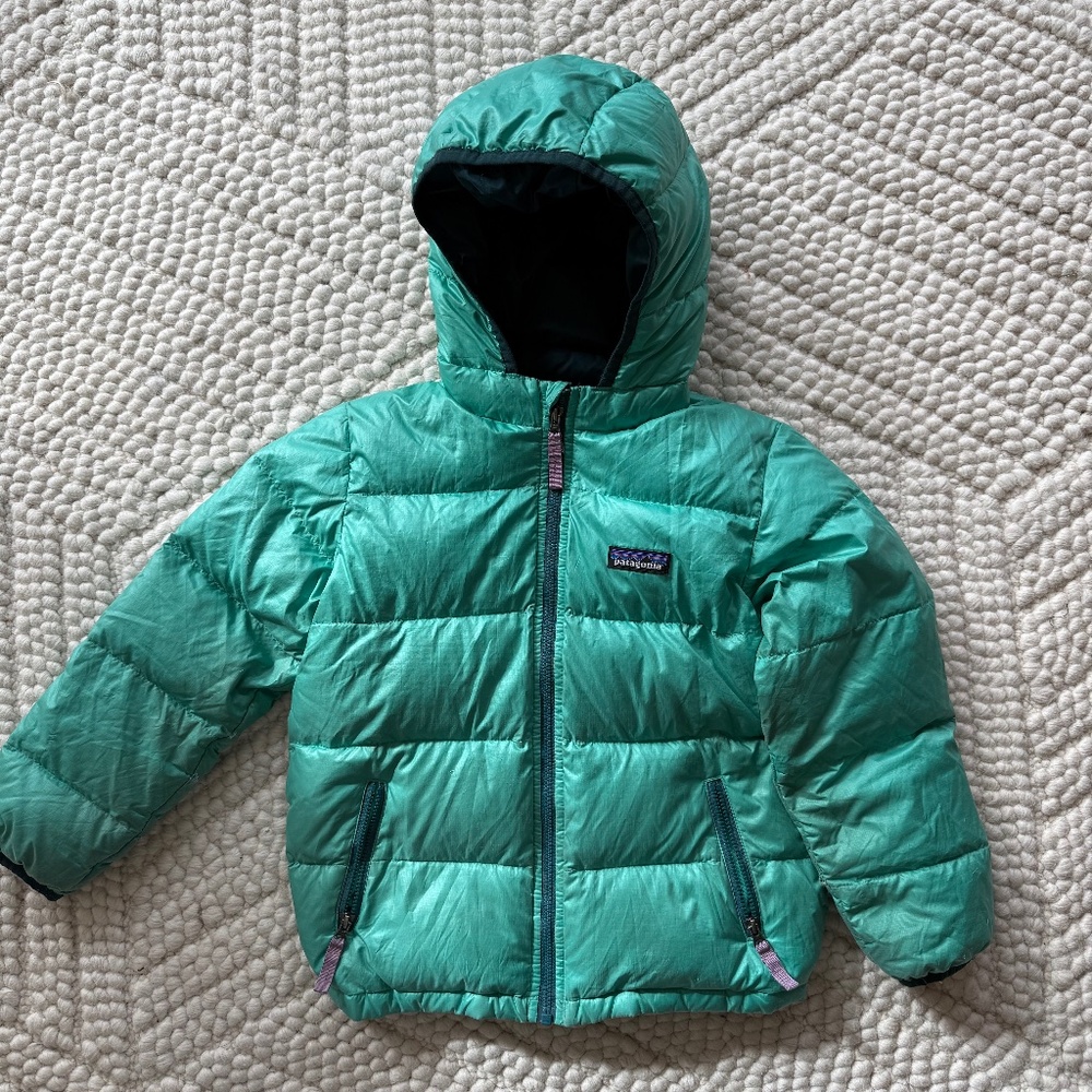 Patagonia Kids Hi-Loft Down Sweater Hoody
